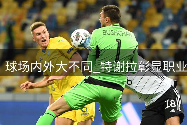球场内外大不同 特谢拉彰显职业素养